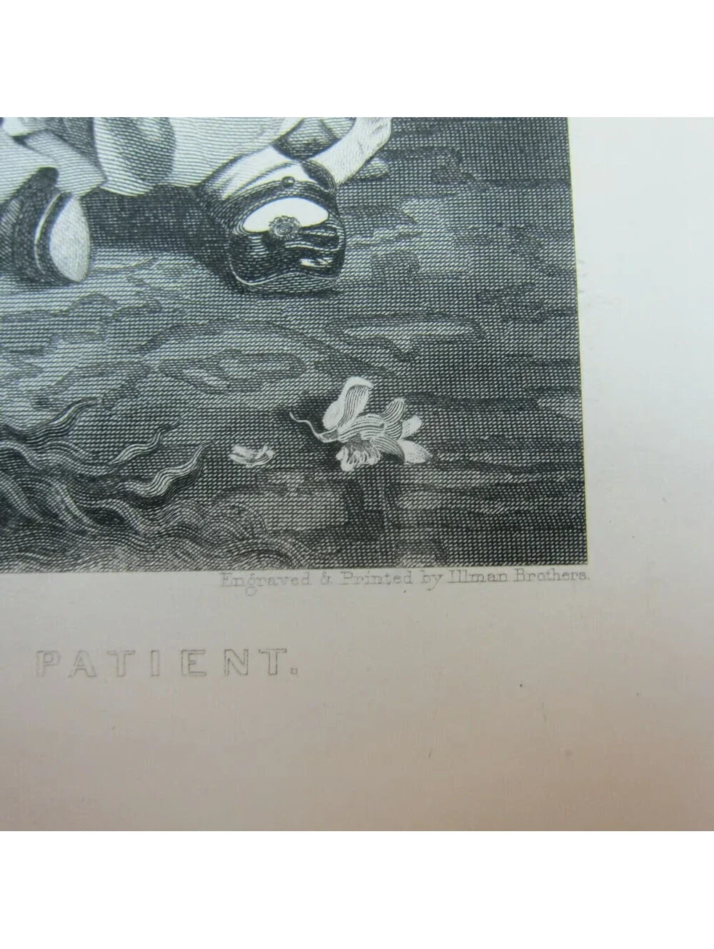 Antique 1800s Victorian Engraving Print Little Girl & Dog Unwilling Participant